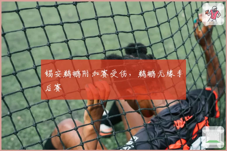 锡安鹈鹕附加赛受伤,鹈鹕无缘季后赛