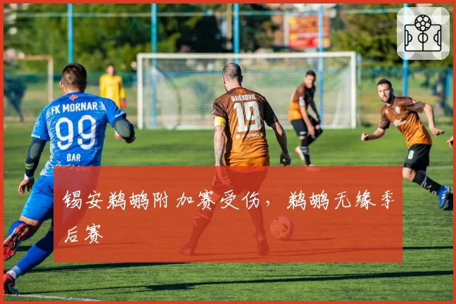 锡安鹈鹕附加赛受伤,鹈鹕无缘季后赛